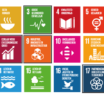 Sustainable SDG