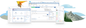 Business Intelligence Salesforce